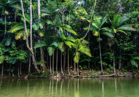 A Local’s Stay at Silky Oaks Lodge in the Daintree Rainforest