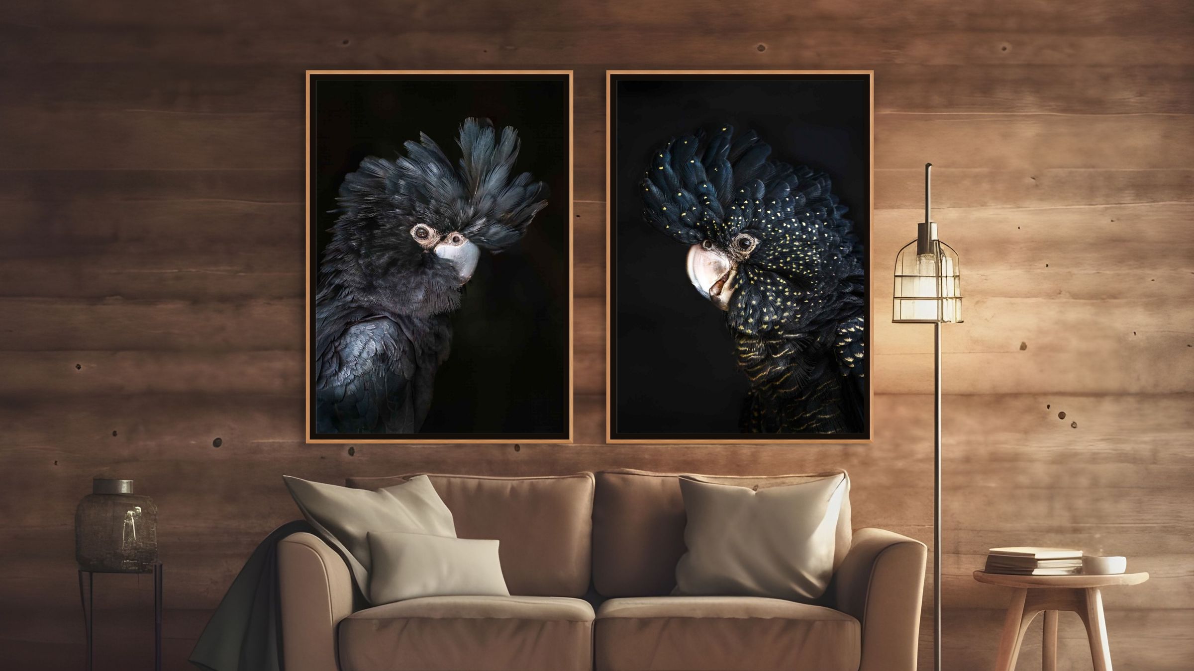 Birds – collection image showing dark, moody bird portraits with black backgrounds, highlighting feathers, textures, and fine details | SEA Gallery Collection by David Lloyd
