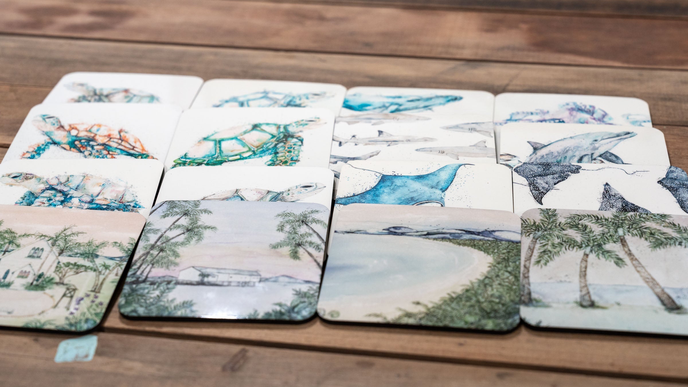 handmade coasters port douglas sea life and turtle ranges
