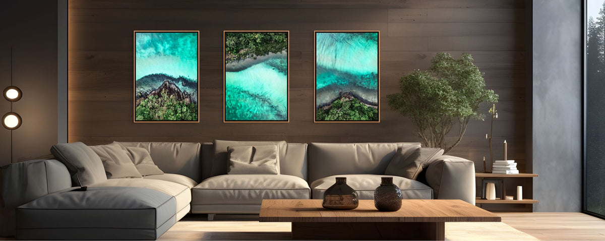 Daintree Rainforest Art & Photography