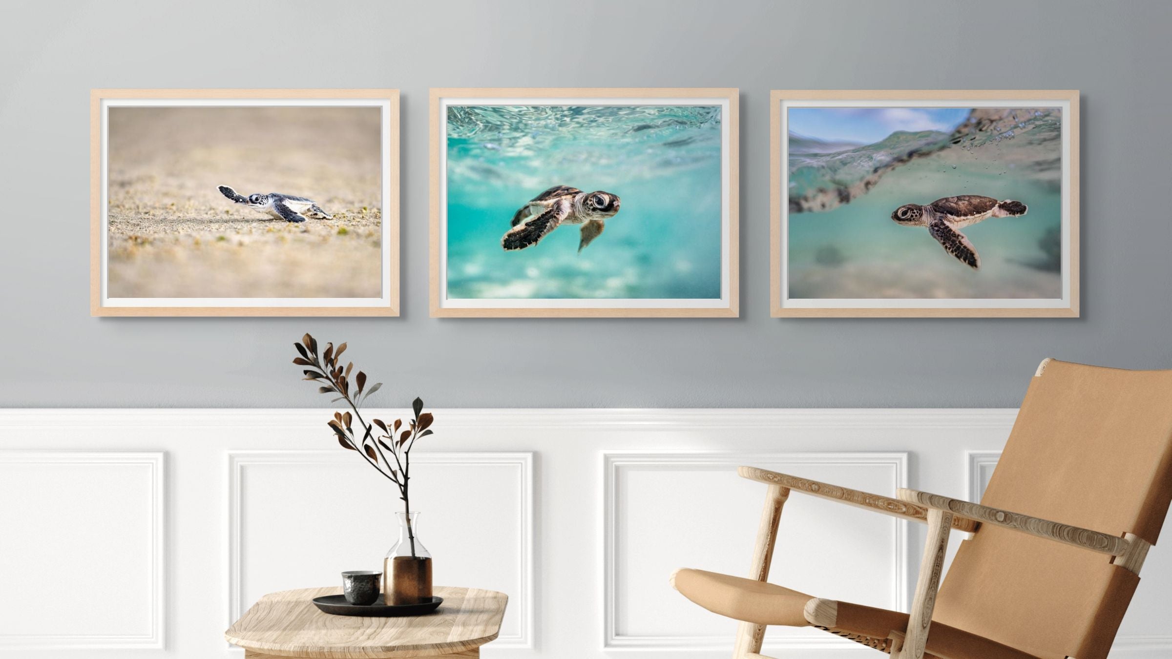 Turtle Hatchlings – collection image showing multiple baby turtles in natural setting, soft sand and water background | SEA Gallery Collection by David Lloyd