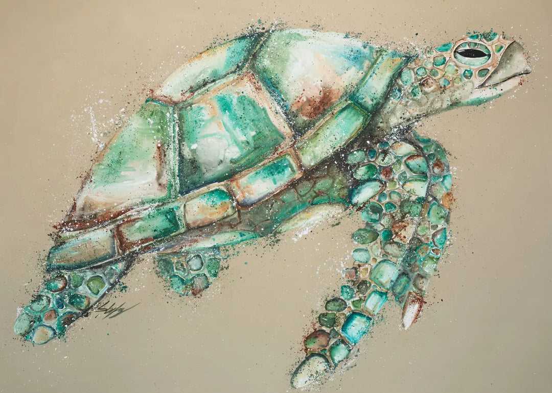 adventures on the cay beige background green sea turtle 