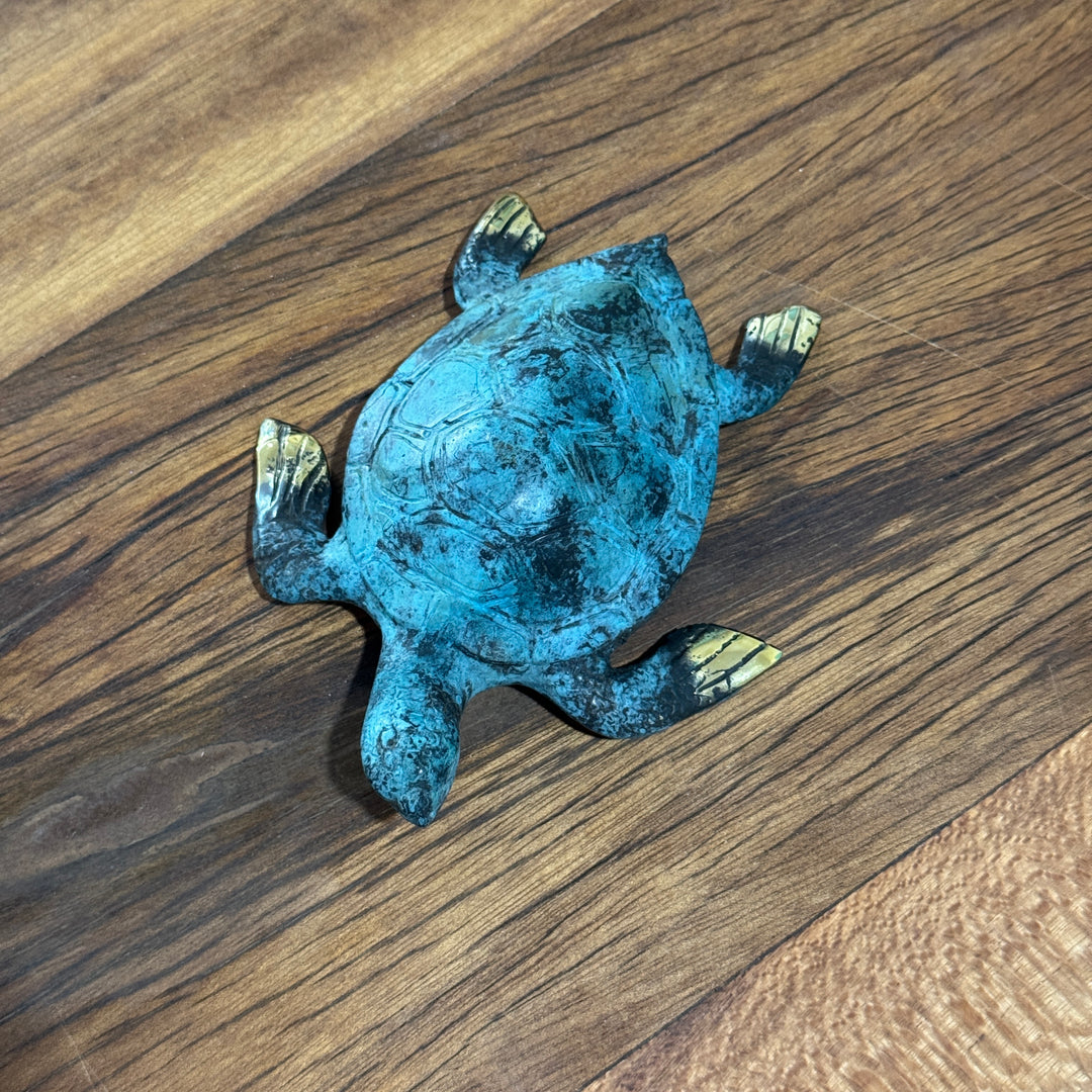 Turtle - M | Aged Brass