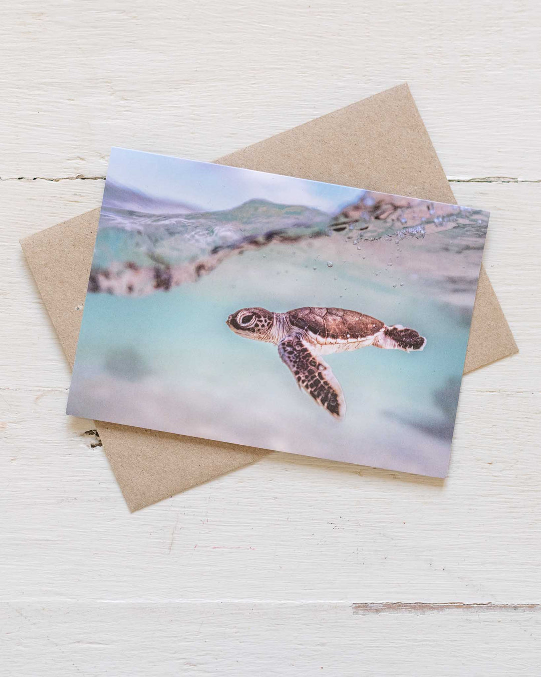 Just Keep Swimming“ card shows a baby sea turtle, printed on recycled brown cardstock by David Lloyd Photography.