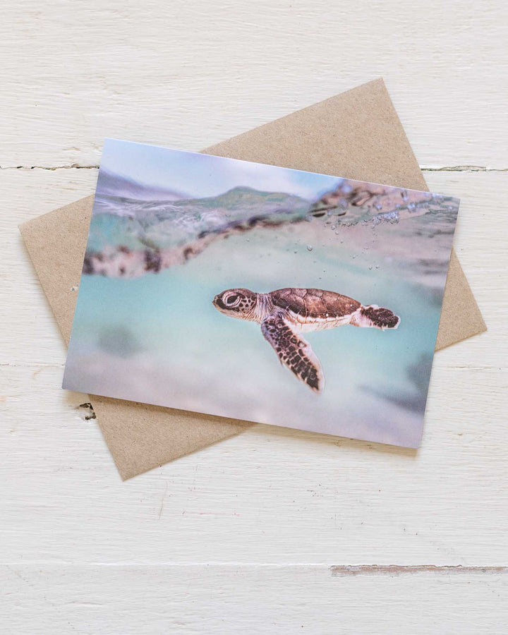 Just Keep Swimming“ card shows a baby sea turtle, printed on recycled brown cardstock by David Lloyd Photography.