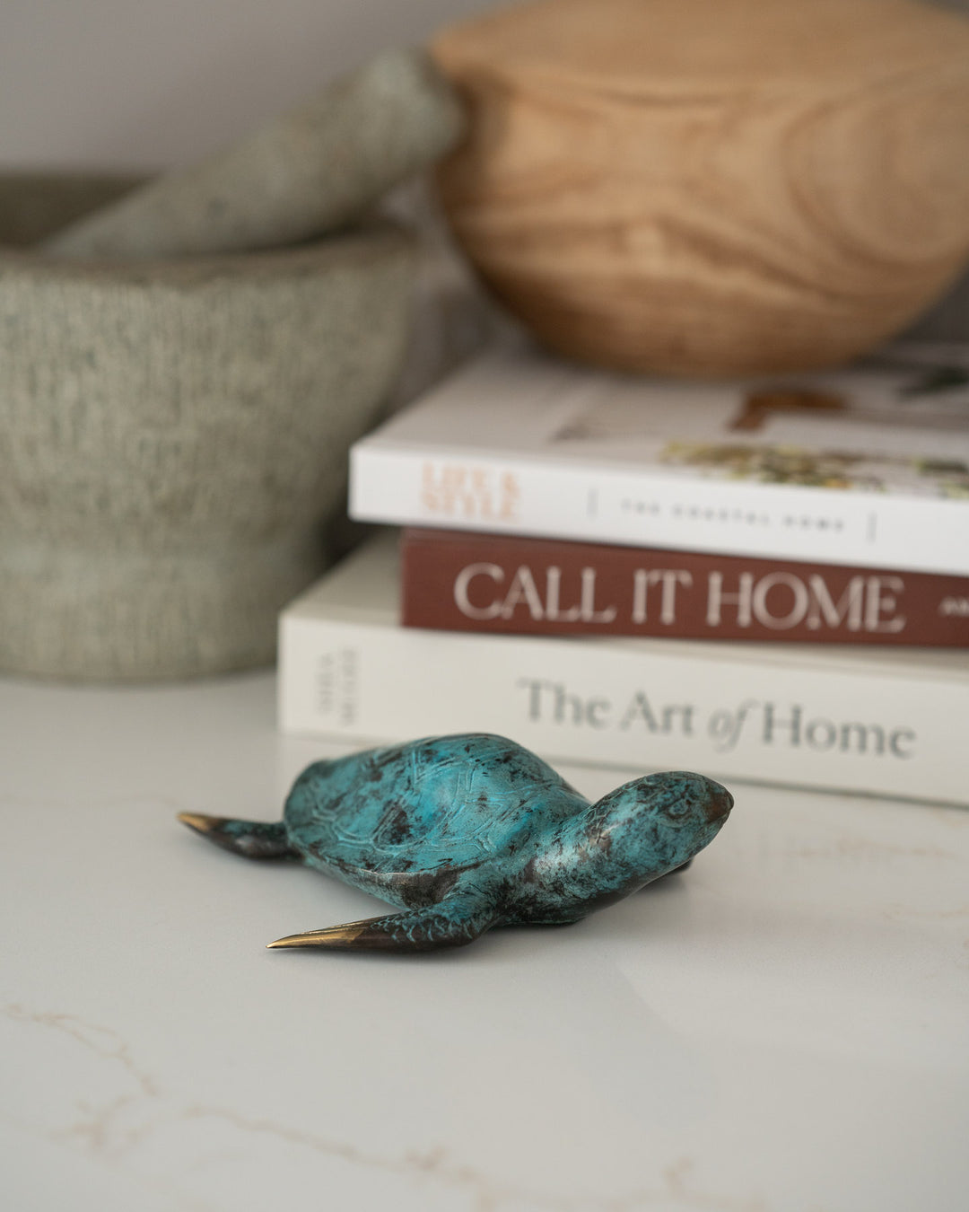 SEA Gallery Large Turtle in aged brass displayed next to stacked books and ceramic bowls on a shelf.