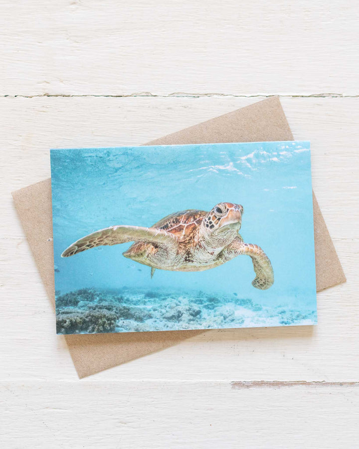 Surfs Up eco-friendly greeting card featuring a sea turtle, paired with a brown envelope on a white background.