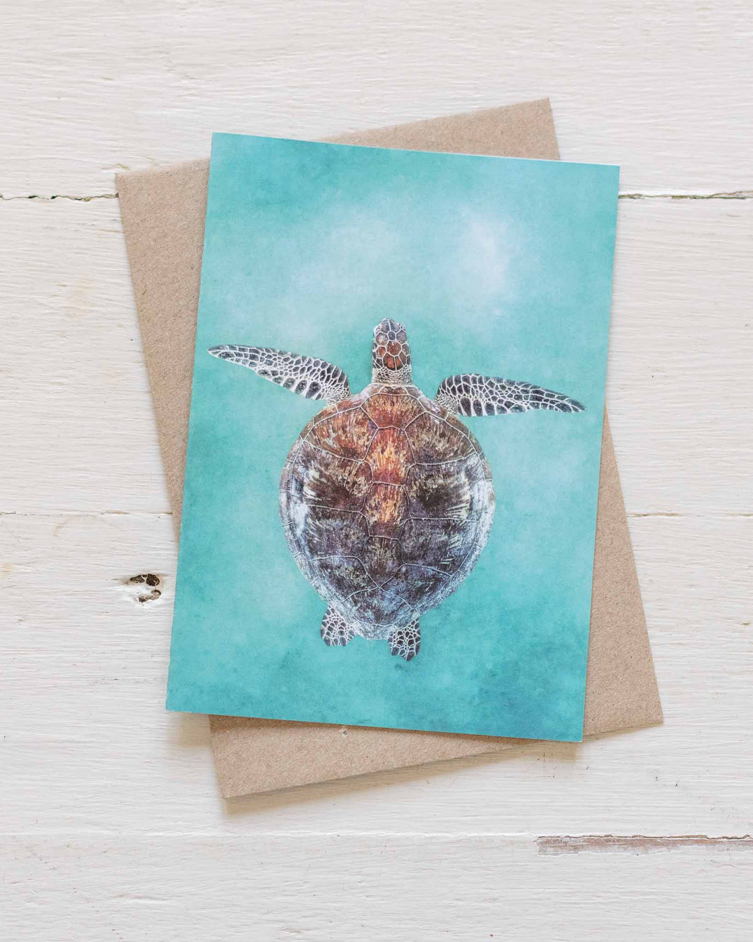 Technicolour Beat greeting card with vibrant sea turtle photo and a recycled brown envelope.