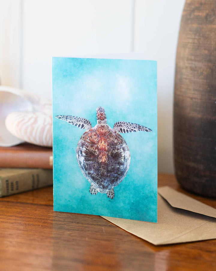 Technicolour Beat card showing a sea turtle, displayed on a wooden table with books and a shell nearby.