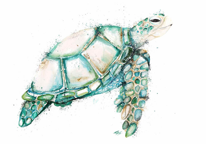 A Day in the Bay by Stephanie Elizabeth – unframed rolled paper print of green turtle, fine art marine life print