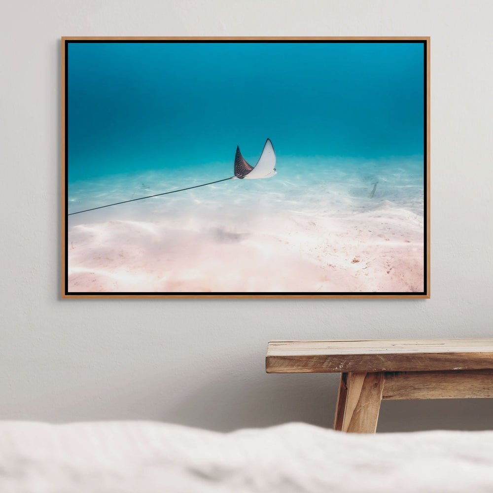 A Fleeting Moment – Eagle ray gliding over blue water and beige sands | Shadow Box Canvas Print