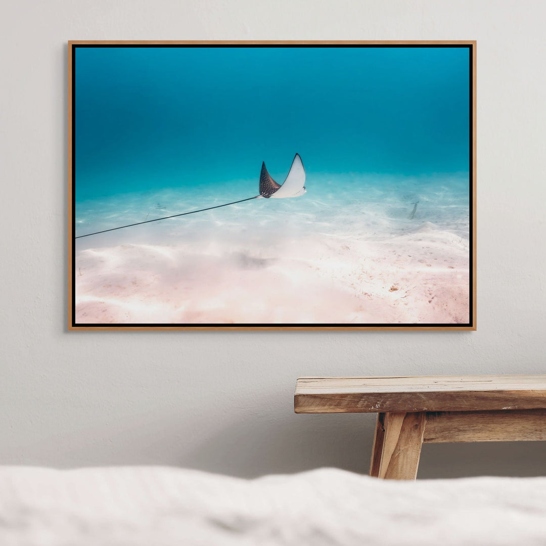 A Fleeting Moment – Eagle ray gliding over blue water and beige sands | Shadow Box Canvas Print