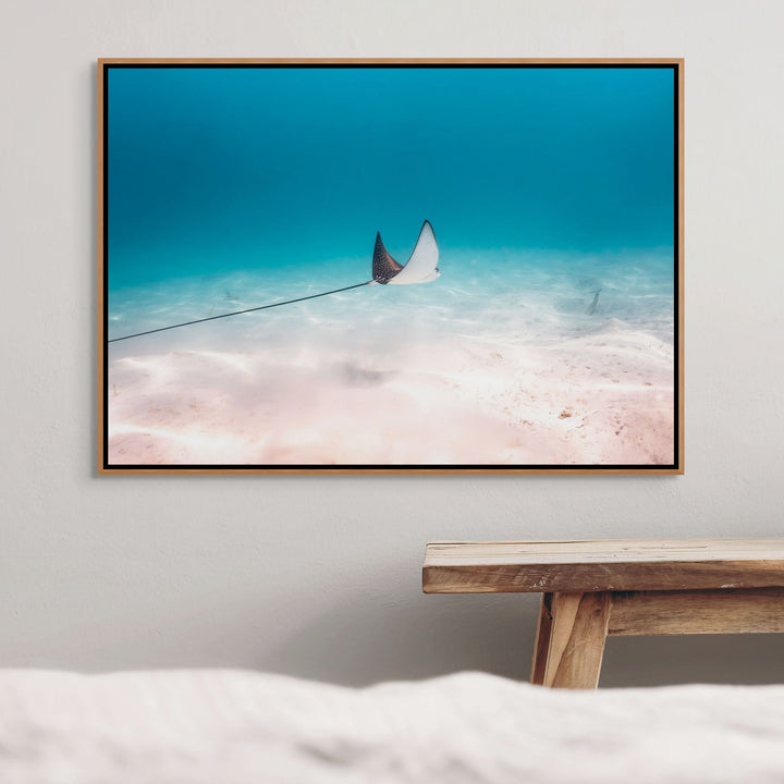 A Fleeting Moment – Eagle ray gliding over blue water and beige sands | Shadow Box Canvas Print
