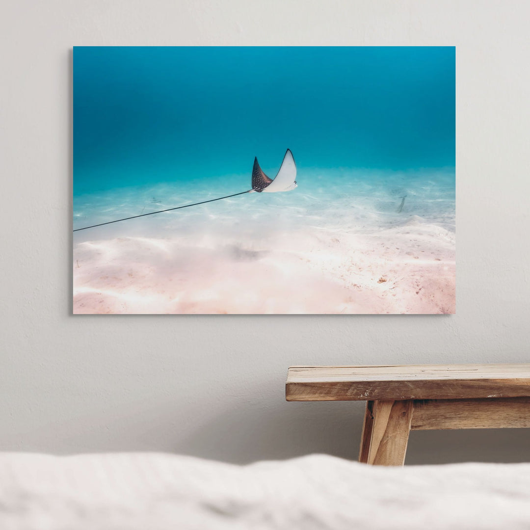 A Fleeting Moment – Eagle ray gliding over blue water and beige sands | Stretched Canvas Print