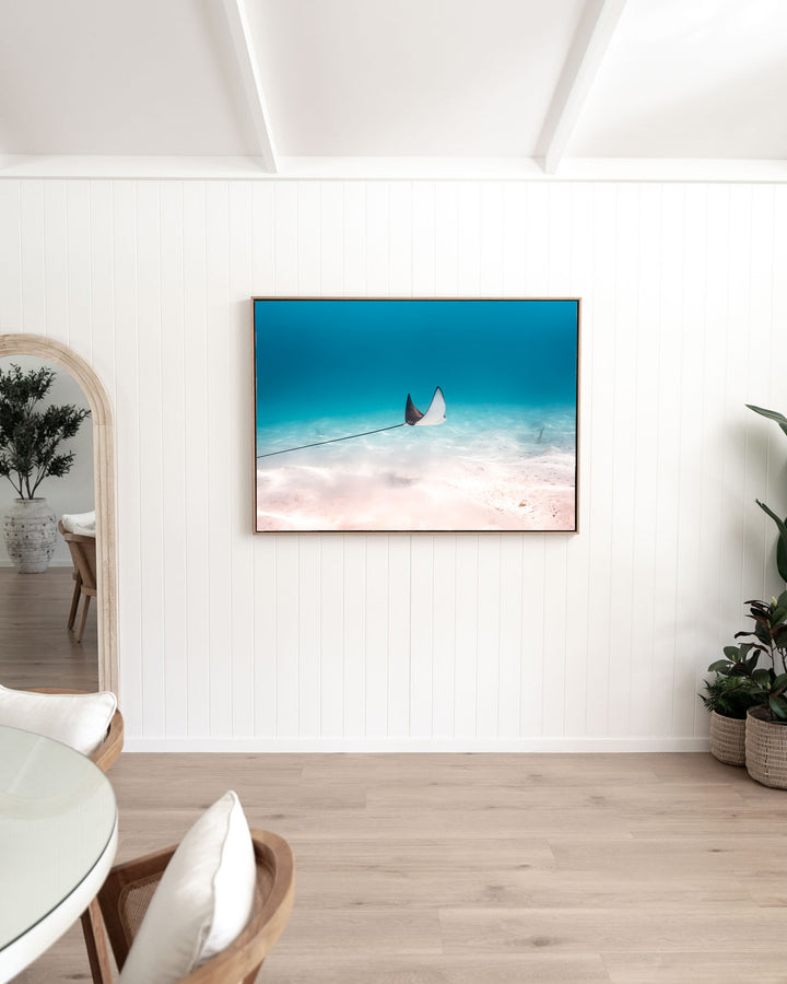 A Fleeting Moment – Eagle Ray, Underwater Photography by David Lloyd, framed canvas print in oak float frame, styled in a dining room setting