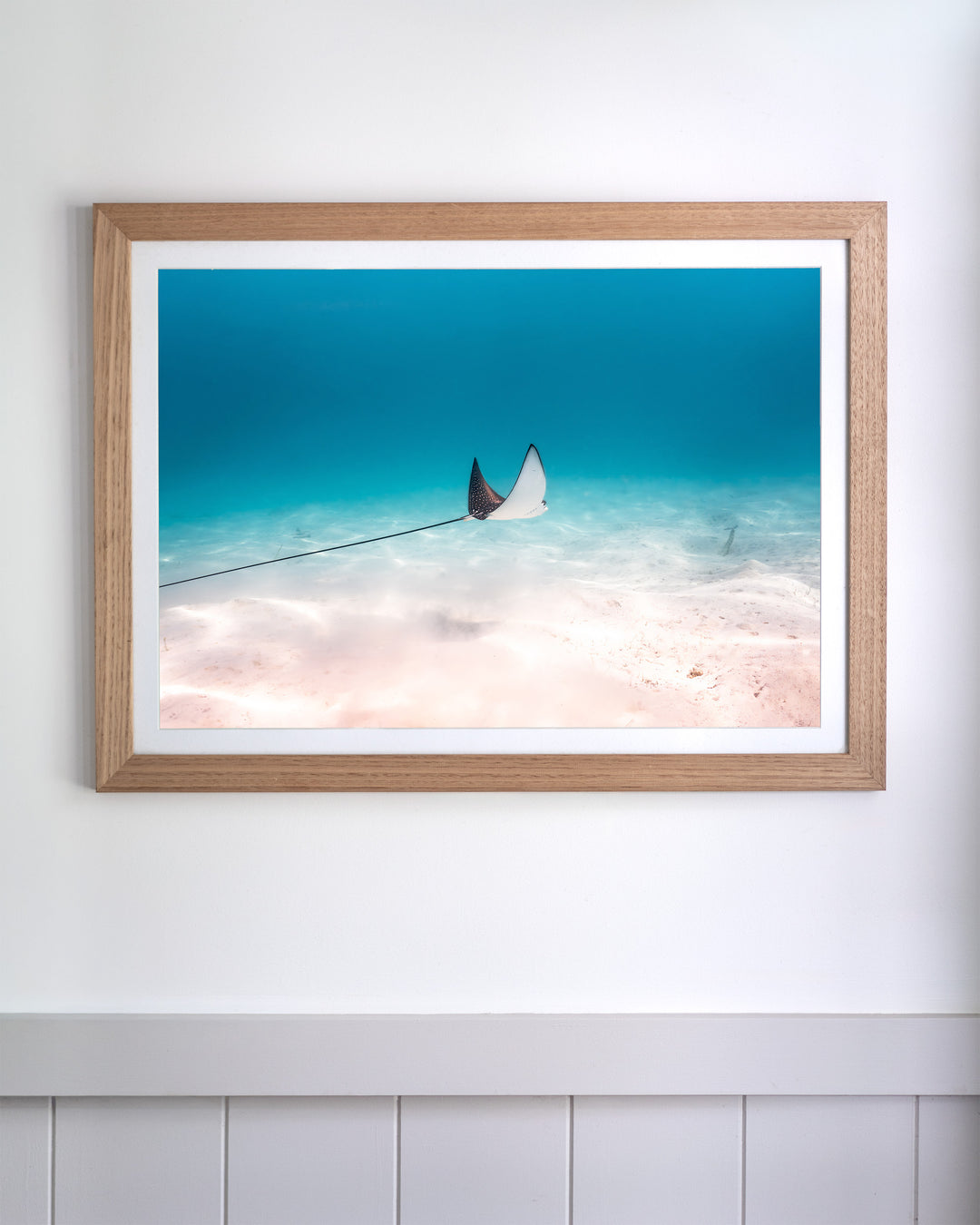 Framed print of A Fleeting Moment - Eagle Ray underwater photography displayed on a white wall.