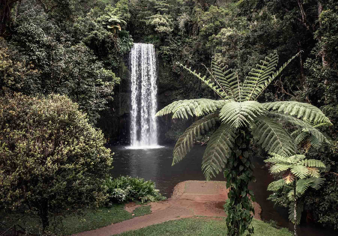 A Hop, Skip and Jump – Aerial view of Millaa Millaa and waterfall in the Atherton Tablelands | Unframed Rolled Print by David Lloyd