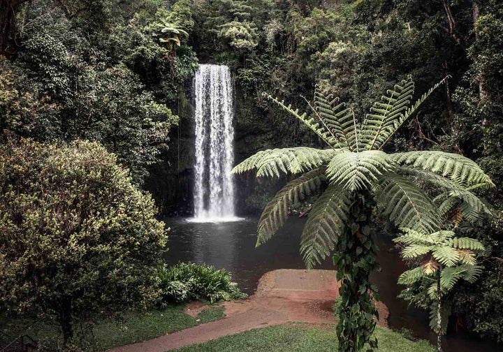 A Hop, Skip and Jump – Aerial view of Millaa Millaa and waterfall in the Atherton Tablelands | Unframed Rolled Print by David Lloyd