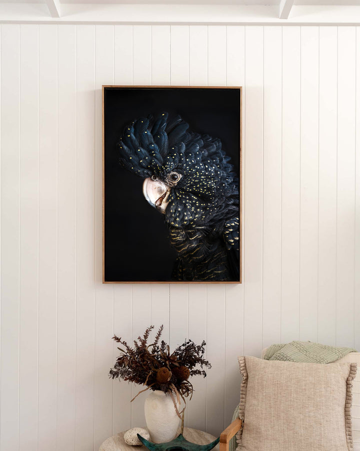 A Little Less Conversation – Black Cockatoo, Bird Photography by David Lloyd, framed canvas print in oak float frame, styled in a bedroom setting