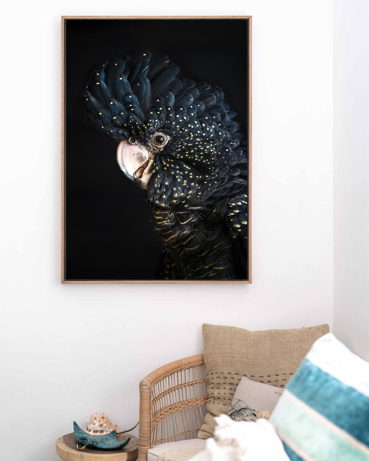 Black Cockatoo Prints