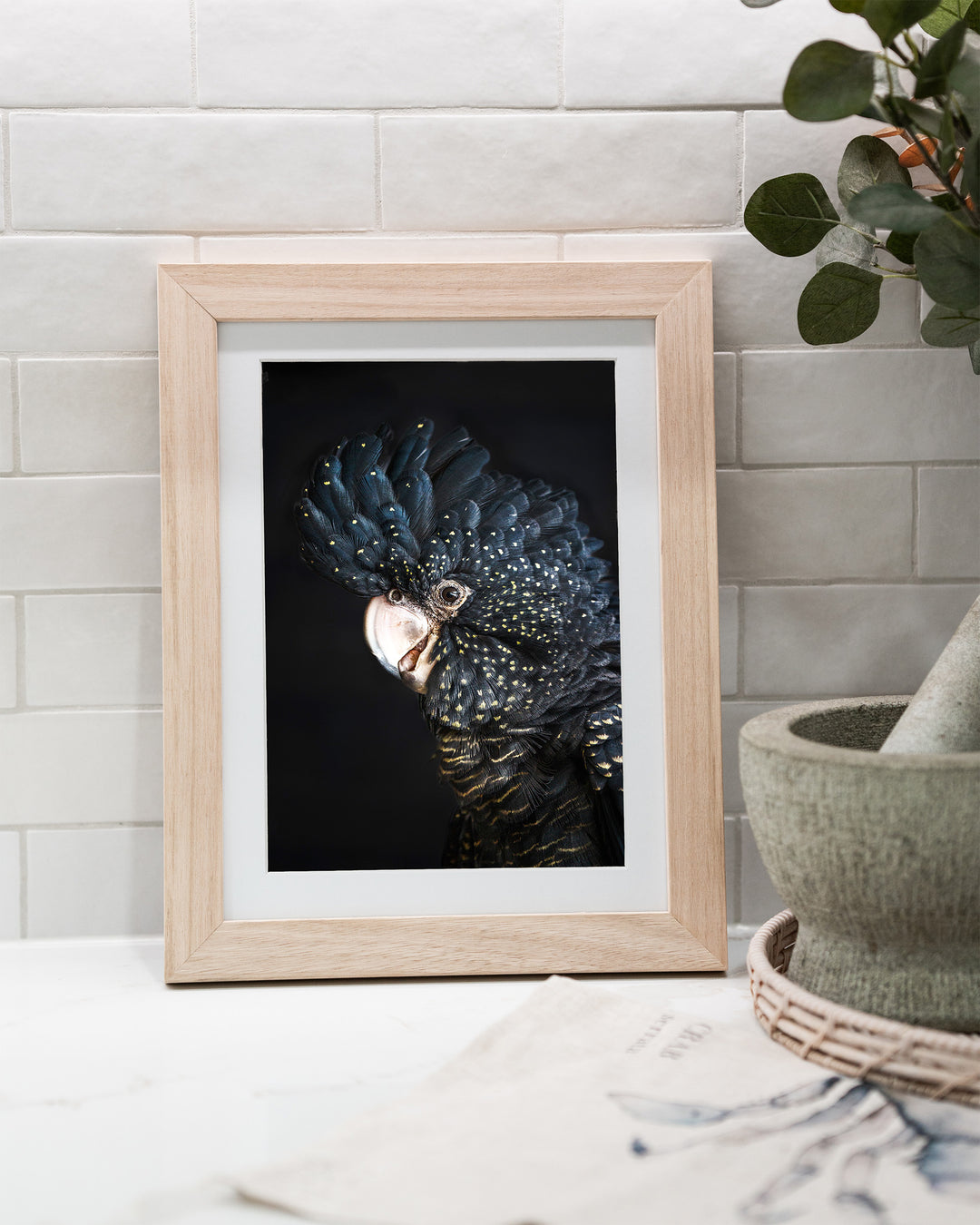 A Little Less Conversation – Black Cockatoo, Bird Photography by David Lloyd, framed paper print in oak frame, styled in a kitchen bench setting