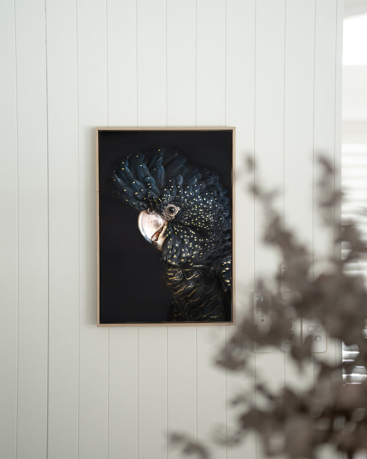A Little Less Conversation“ black cockatoo photo on a white paneled wall, with a blurred plant in the foreground.