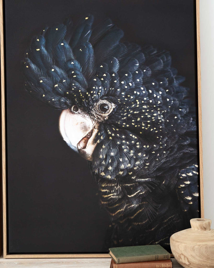 A Little Less Conversation by David Lloyd shows a black cockatoo perched on a branch against a soft background.