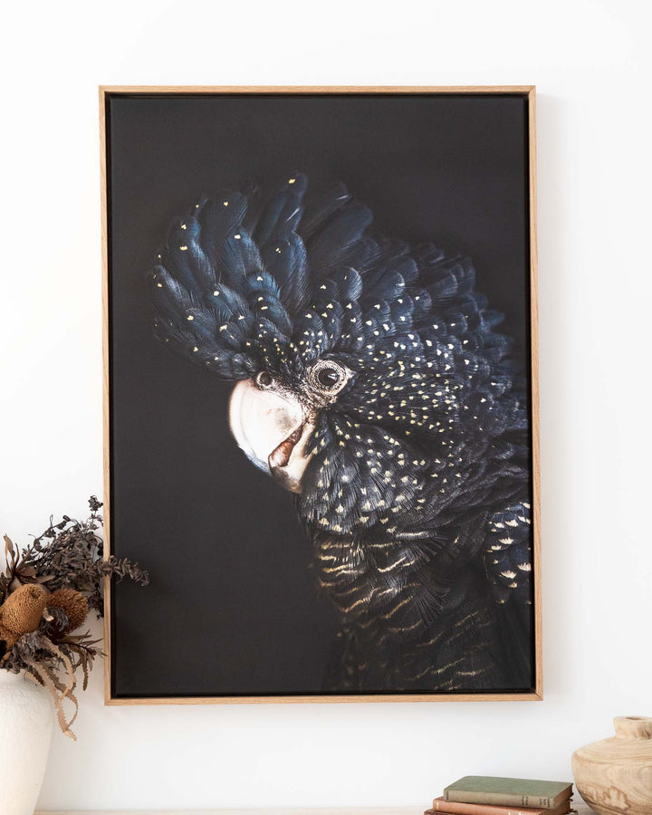 A Little Less Conversation print showing a black cockatoo with dried florals, by David Lloyd Photography on display.