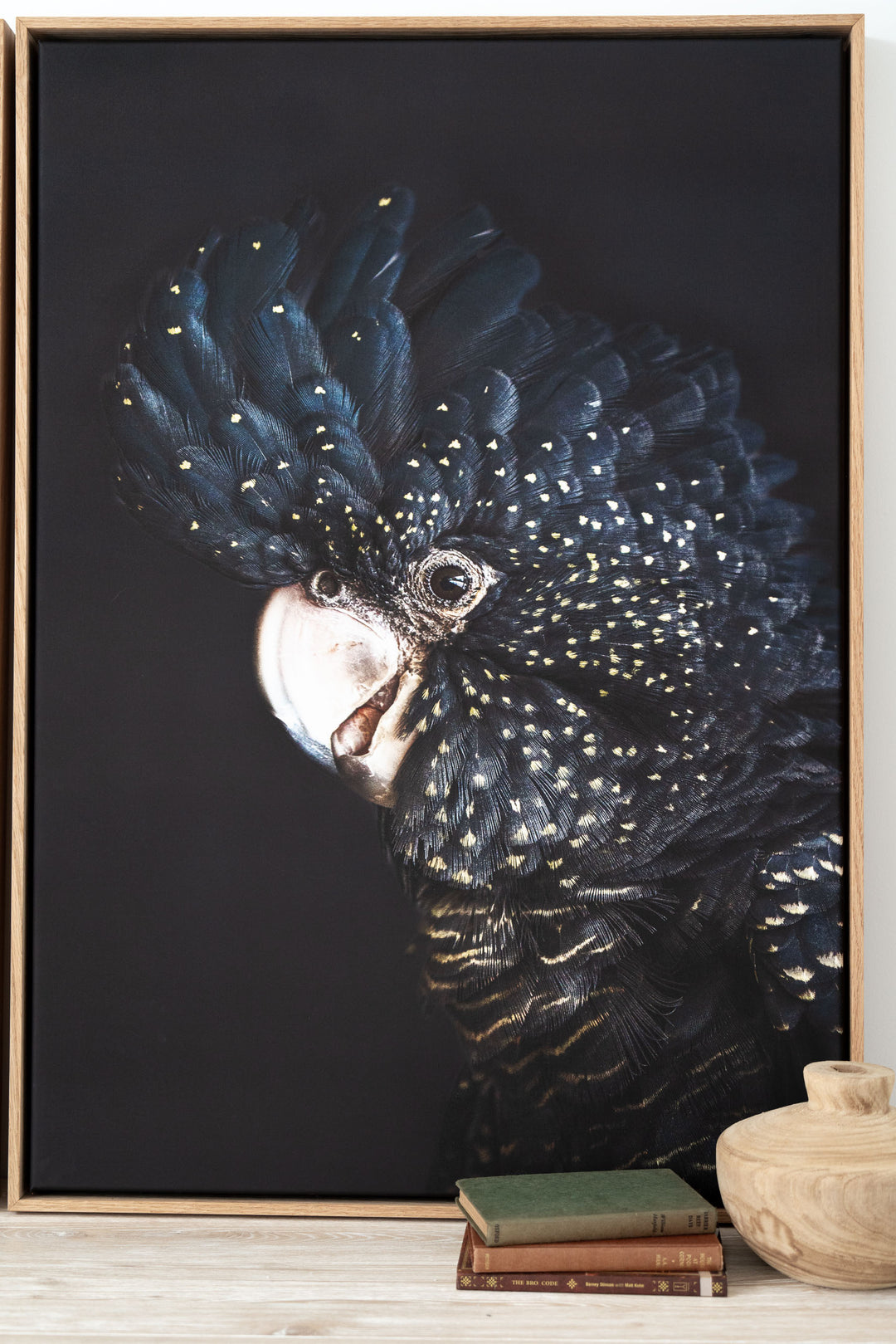 A Little Less Conversation by David Lloyd shows a black cockatoo on a simple, light-toned background.