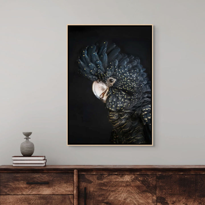 A Little Less Conversation – Red-tailed black cockatoo fine art print by Stephanie Elizabeth featuring rich black feathers and soft neutral tones | Shadow Box Canvas Print