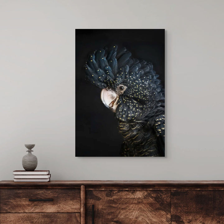 A Little Less Conversation – Red-tailed black cockatoo fine art print by Stephanie Elizabeth featuring rich black feathers and soft neutral tones | Stretched Canvas Print