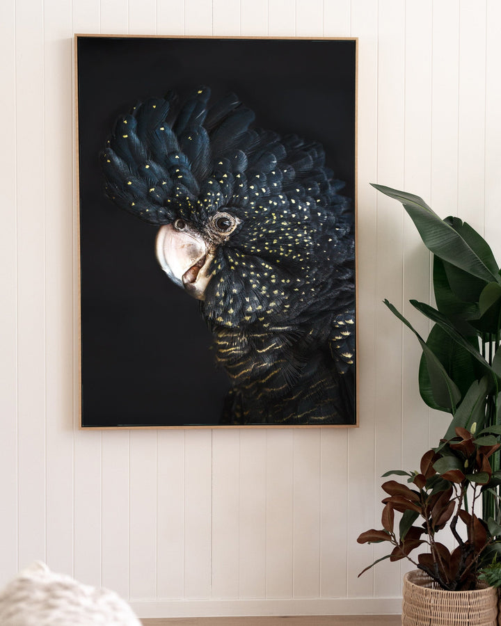 A Little Less Conversation“ Black Cockatoo print framed on a white wall in a modern, stylish room.