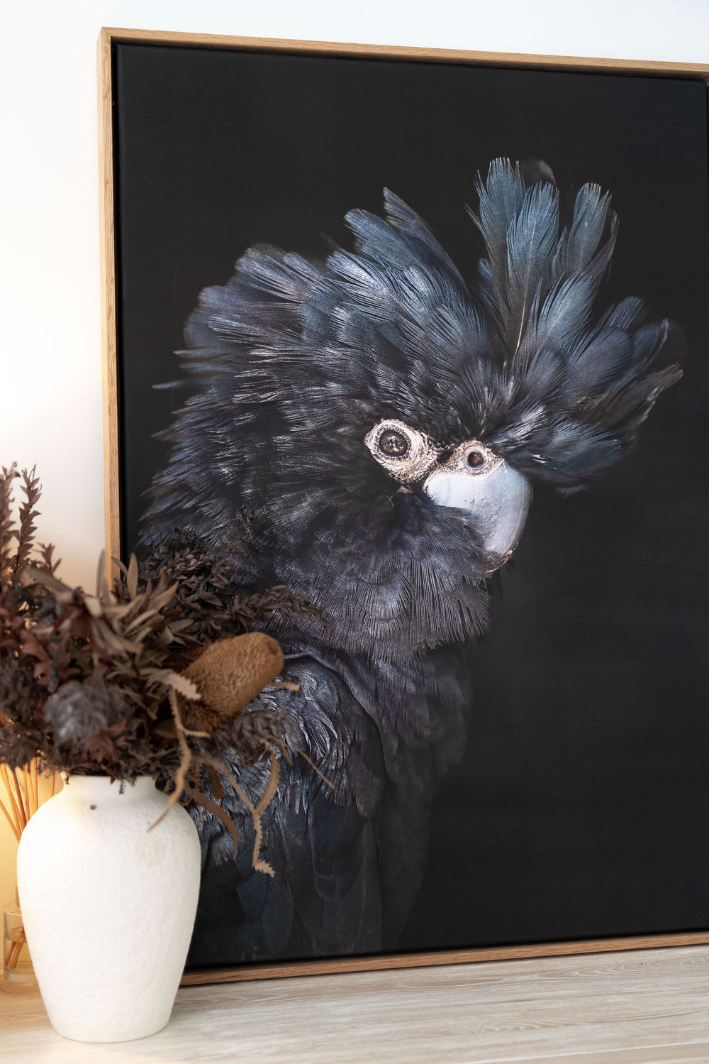 A Little More Action art print by David Lloyd, showing a black cockatoo perched on wood.