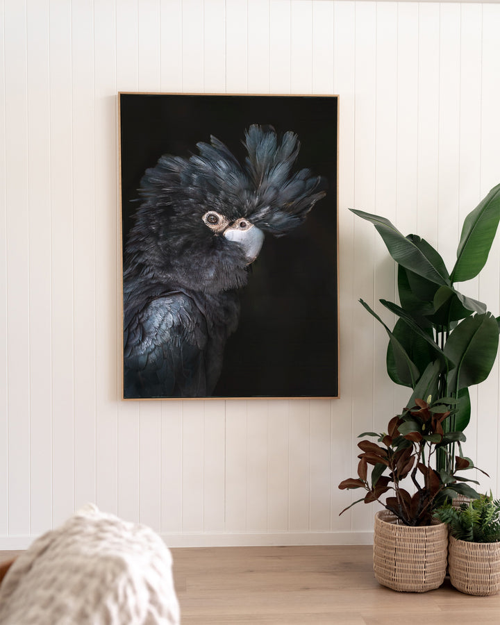 A Little More Action | Black Cockatoo print hangs in a bright room with lush green plants and modern decor.