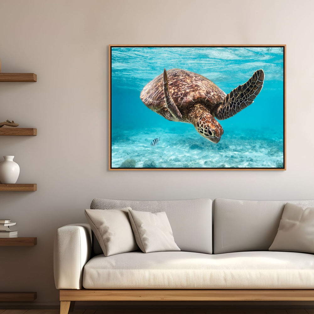 A Moment Below by David Lloyd – adult turtle diving underwater after surfacing, vibrant blue background, fine art marine life photography print