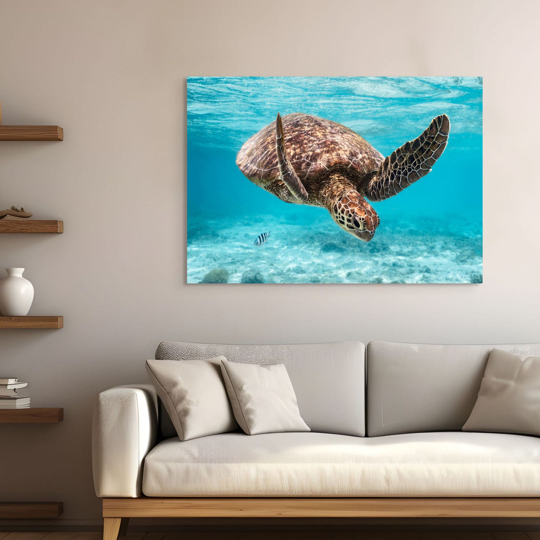 A Moment Below by David Lloyd – adult turtle diving underwater after surfacing, vibrant blue background, fine art marine life photography print