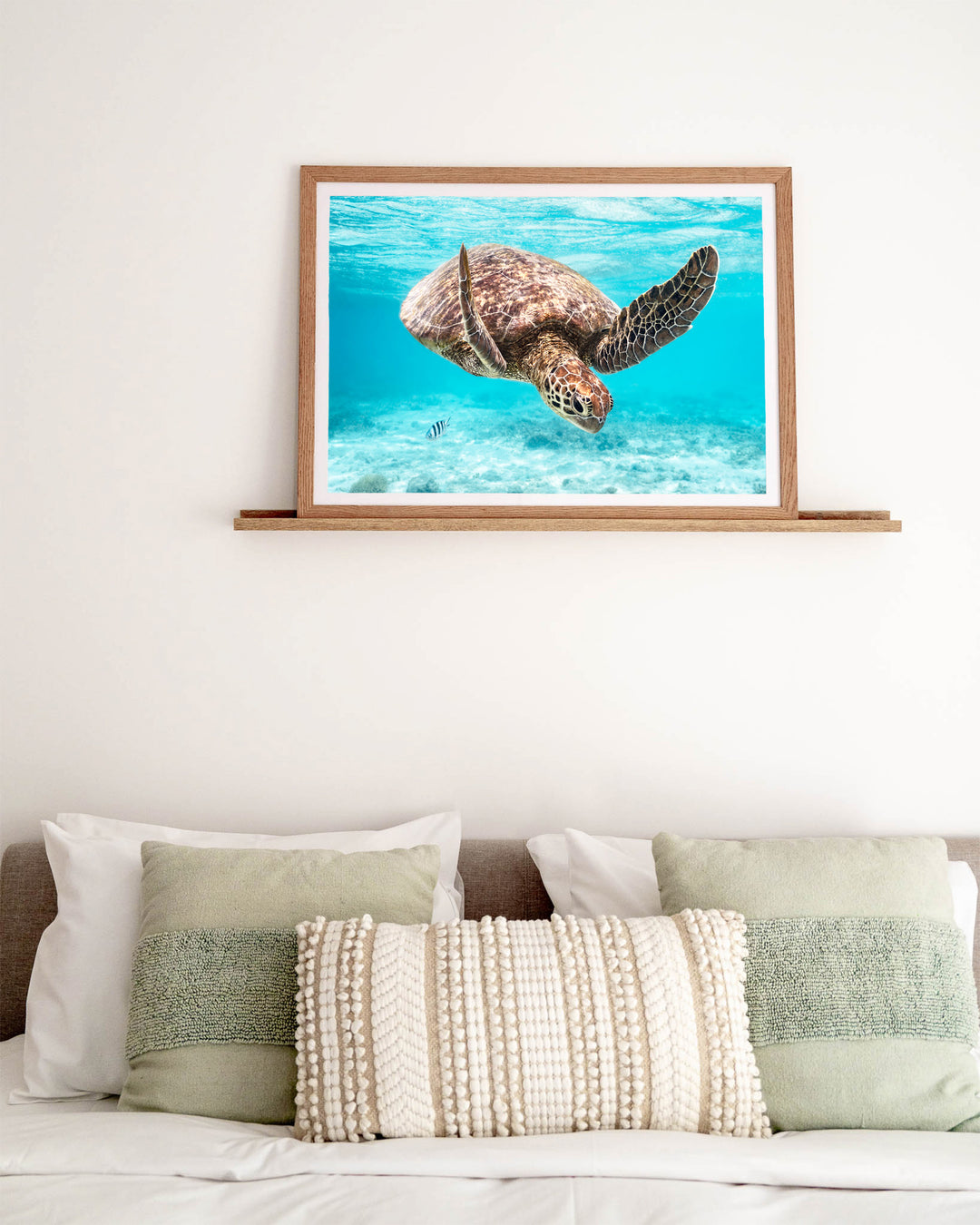 A Moment Below – Green Sea Turtle, Underwater Photography by David Lloyd, framed paper print in oak frame, styled in a bedroom setting