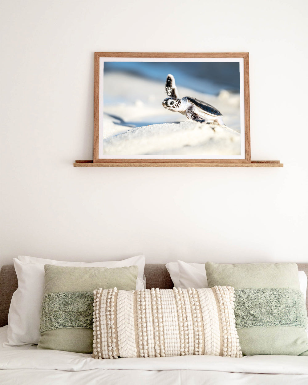 A New Hope – Turtle Hatchling, Coastal Photography by David Lloyd, framed paper print in oak frame, styled in a bedroom setting