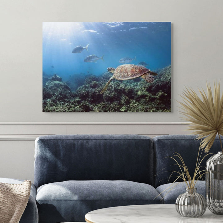 Adventure Awaits – Green sea turtle gliding over coral gardens with trevally in the background, vibrant underwater scene at Low Isles | Stretched Canvas Print