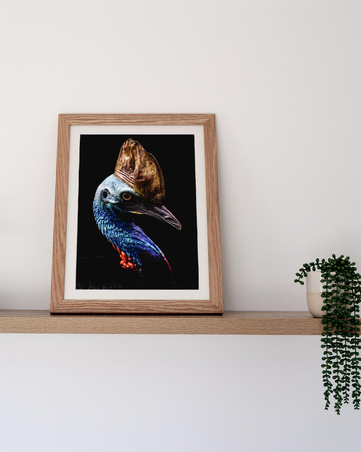 Airlie | Southern Cassowary bird photo on a shelf beside a green plant, set against a plain white wall.