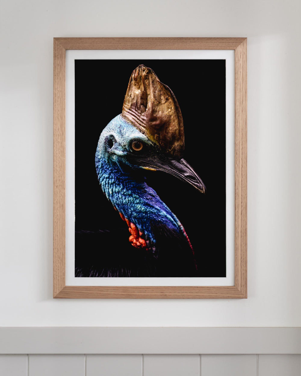 Framed Airlie Southern Cassowary print featuring the bird in profile against a dark, minimalist background.