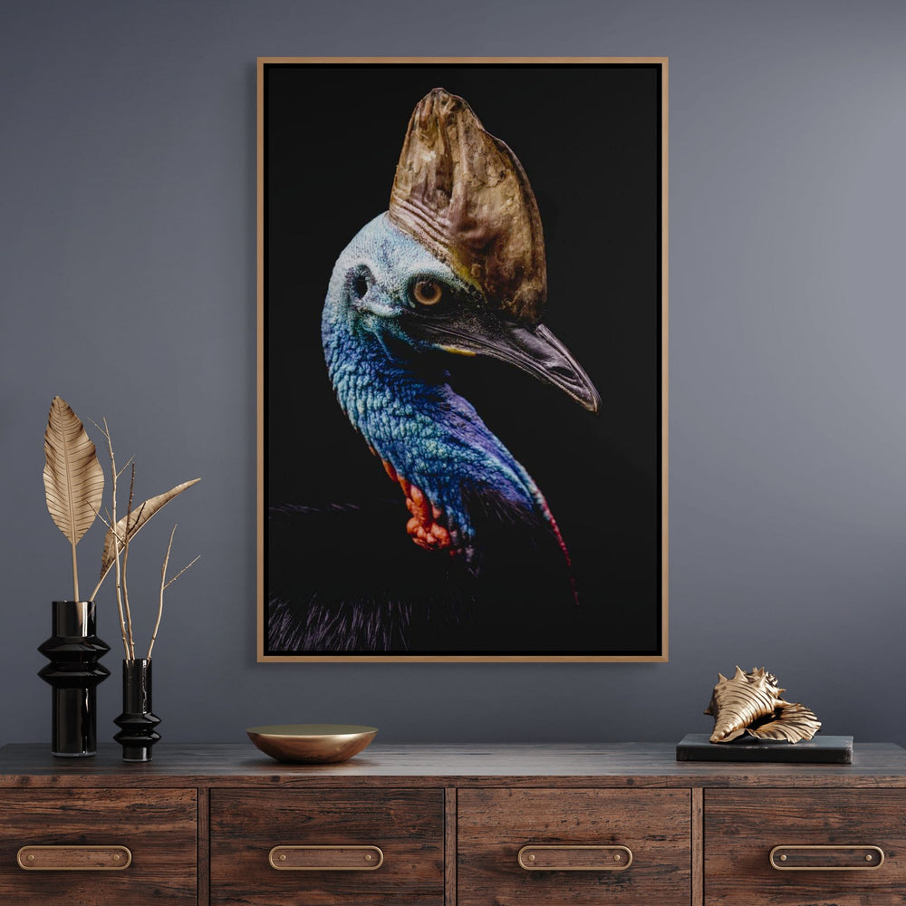 Airlie – Southern Cassowary portrait in the shade with black backdrop, striking solitary bird at Port Douglas Wildlife Habitat | Shadow Box Canvas Print