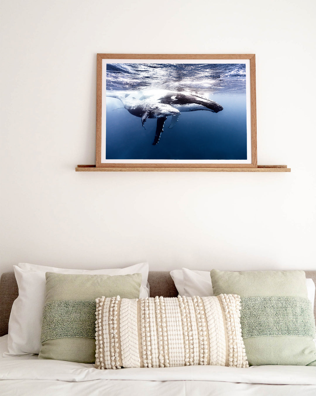 Along for the Ride – Humpback Whale Mum and Calf, Underwater Photography by David Lloyd, framed paper print in oak frame, styled in a bedroom setting