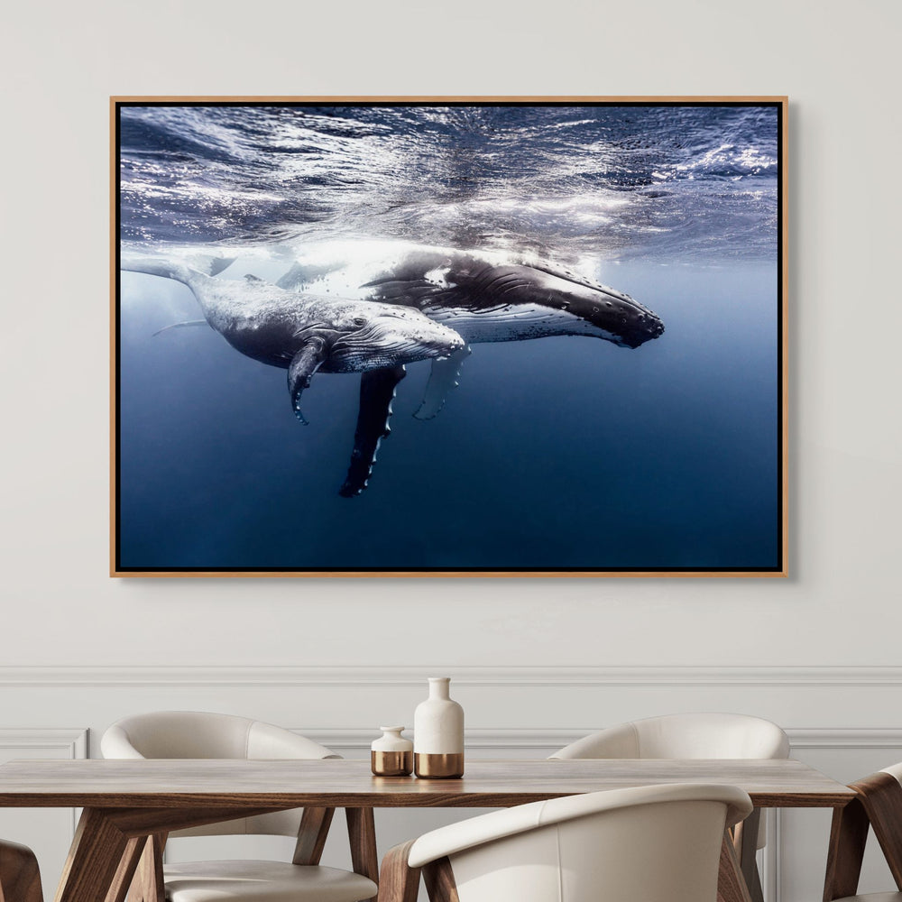 Along for the Ride – Underwater view of a humpback whale mum and calf gliding gracefully through deep blue water | Shadow Box Canvas Print