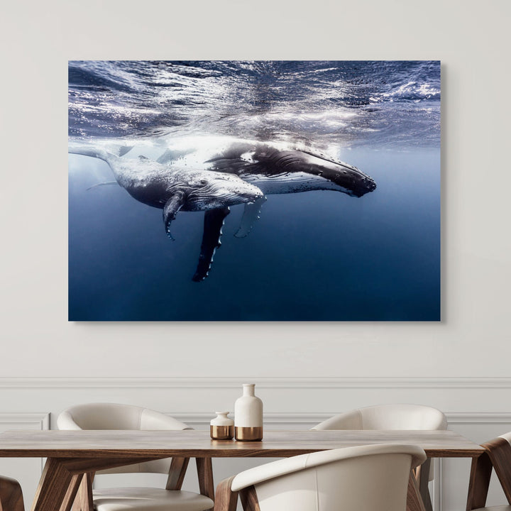 Along for the Ride – Underwater view of a humpback whale mum and calf gliding gracefully through deep blue water | Stretched Canvas Print