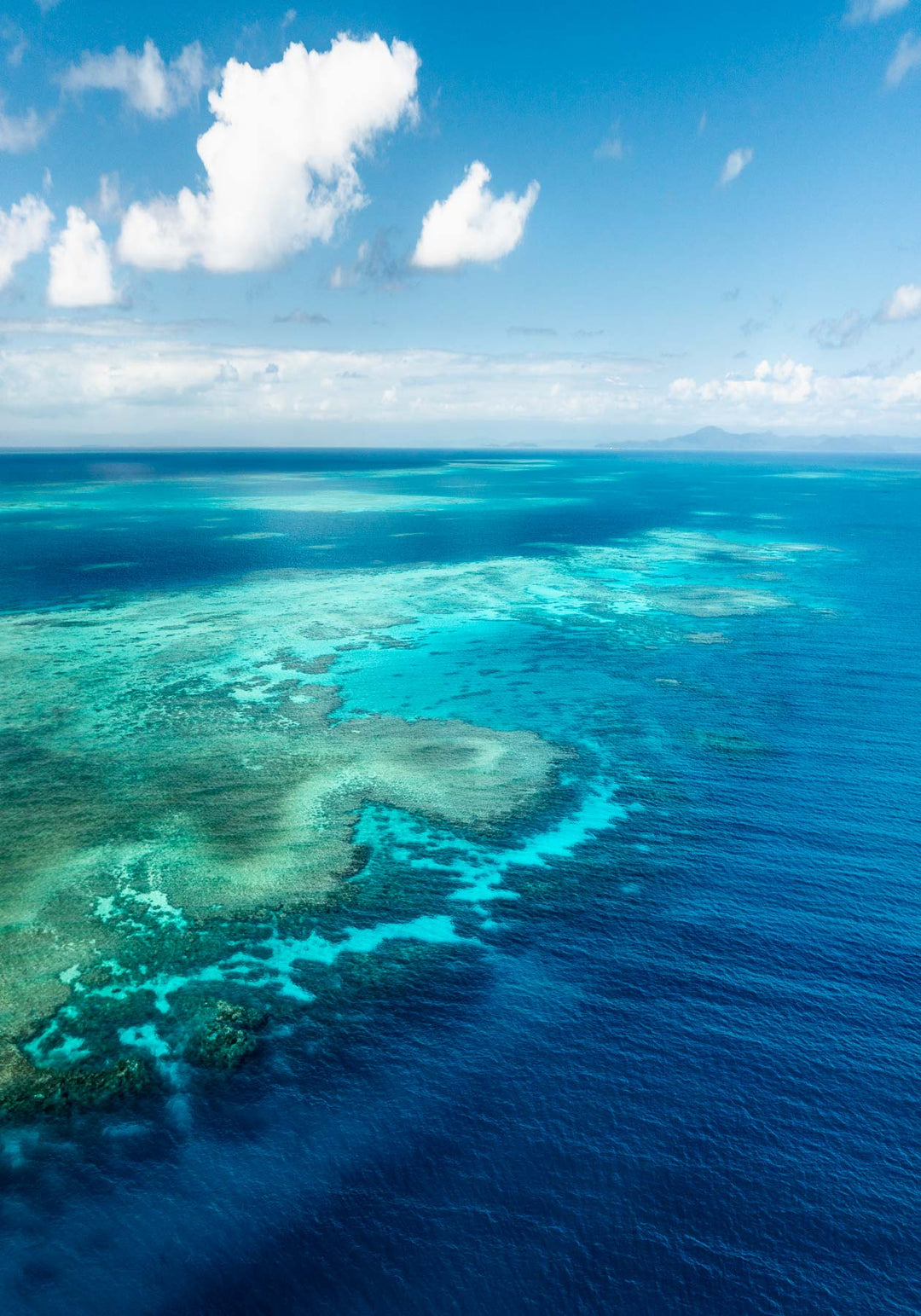 Always Take The Weather With You – Aerial view of Rudder Reef with turquoise waters and reef patterns | Unframed Rolled Print by David Lloyd