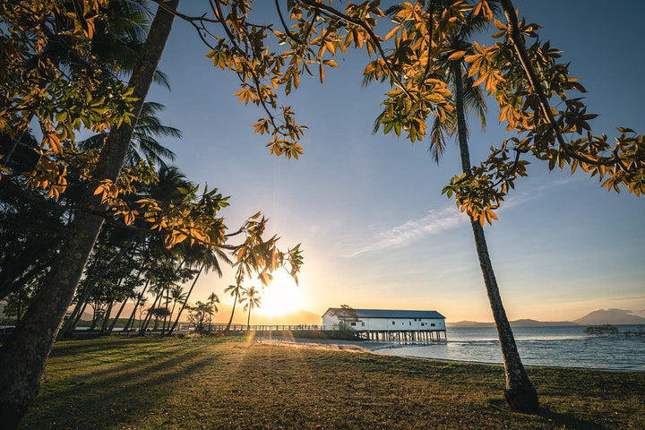 Autumn Sugar – Landscape photograph of the Sugar Wharf in Port Douglas framed by autumn leaves with golden sunset light | Unframed Rolled Print
