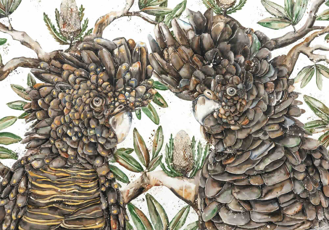 Banksia Banter – unframed rolled fine art print by Stephanie Elizabeth