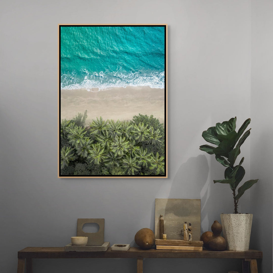 Beachside Reverie – aerial photograph of Four Mile Beach shoreline with soft sand and turquoise coastal water | Shadow Box Canvas Print
