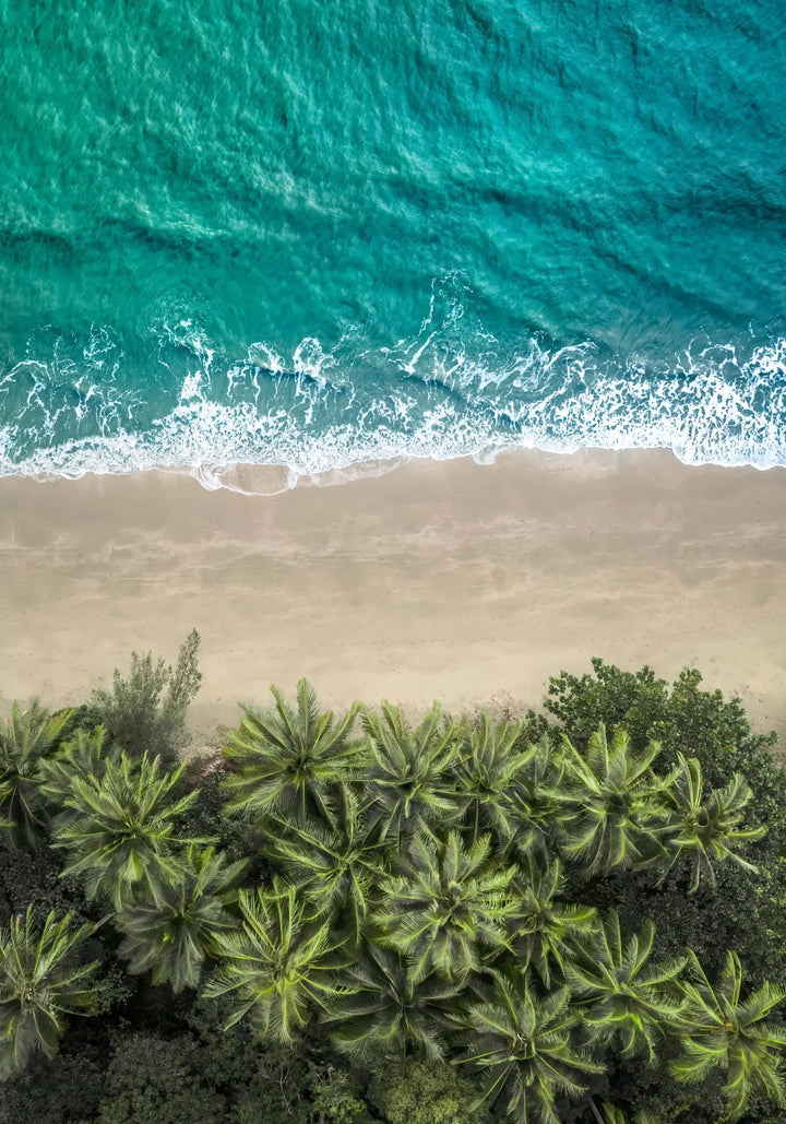 Beachside Reverie – aerial photograph of Four Mile Beach shoreline with soft sand and turquoise coastal water | Unframed Rolled Print